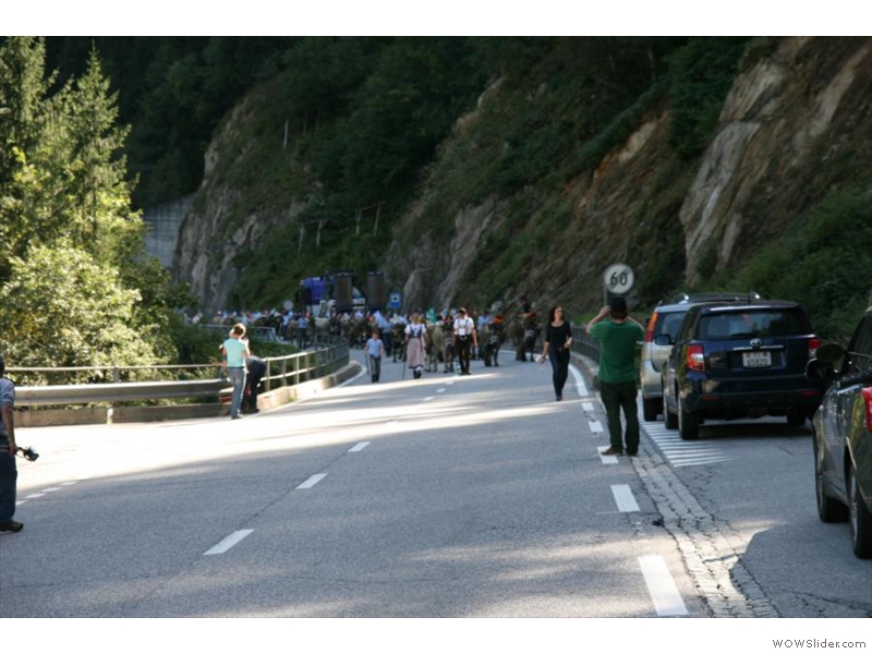 Kühe haben Vorfahrt, der Almabtrieb hat begonnen ....