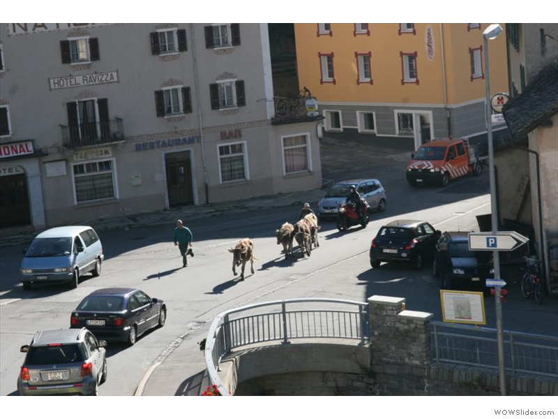 Wieder einmal Vorfahrt fürs Milchvieh