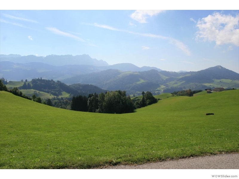 Zum Abschluss: Noch mal grüne Wiesen ....