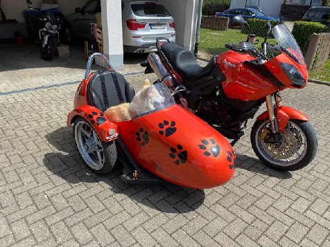 http://www.kalich.de/Second-Hand/Tiger1.jpg