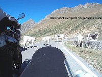 K1600 vlcsnap-error478